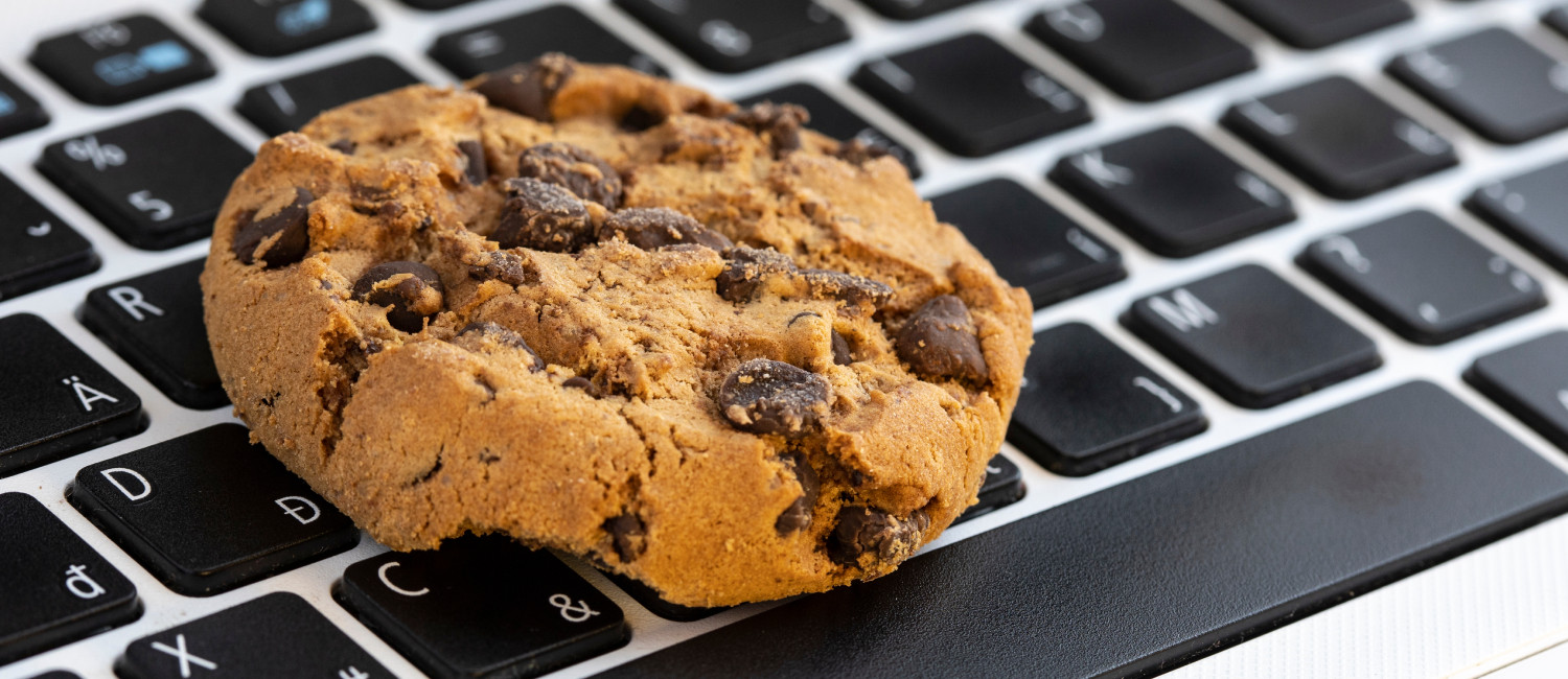 Website Cookie Policy For Hotel Mira Vista